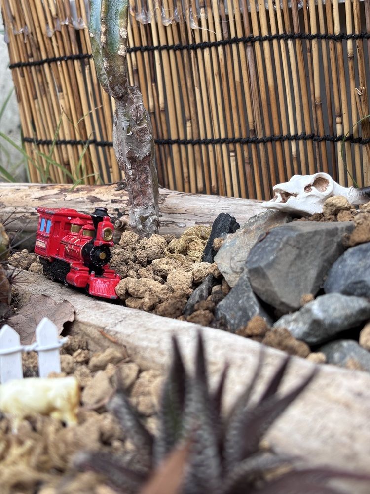 Photograph by Nagasaki Marina