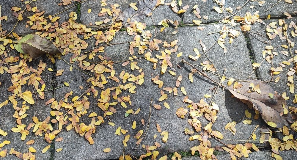 Photograph by Сергей Христинич