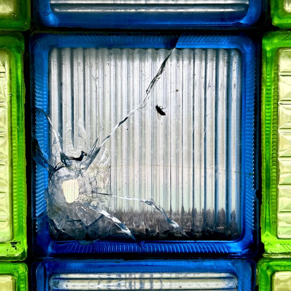 Photograph by Александр Тагаев