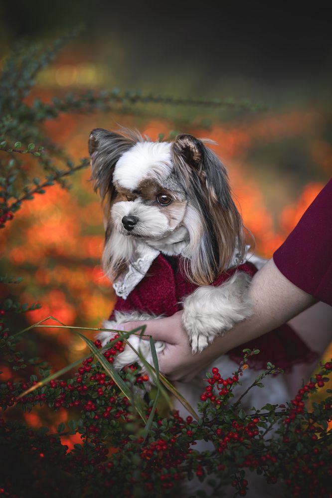 Photograph by Ирина Голомб