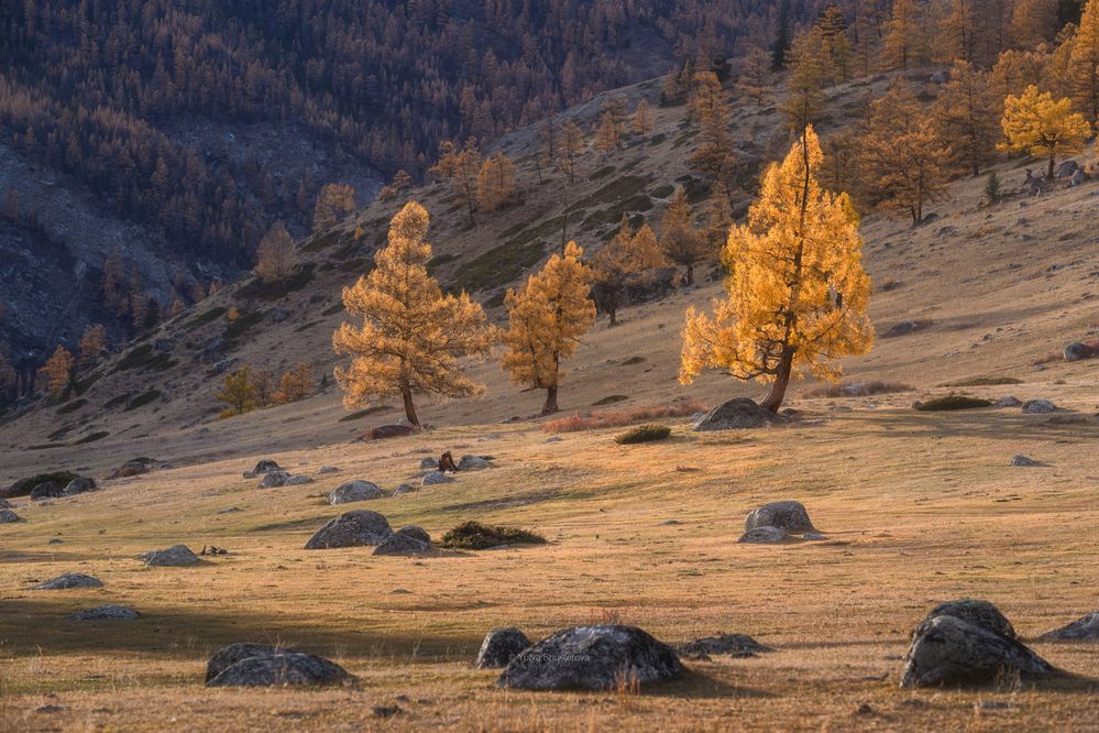 Photograph by Юлия Шустерова