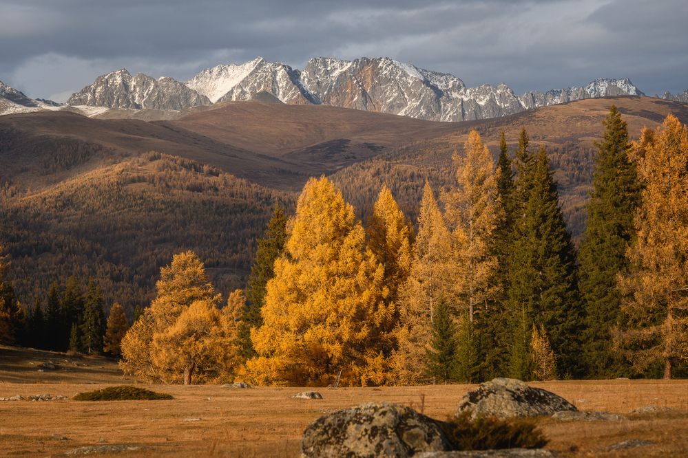 Photograph by Юлия Шустерова