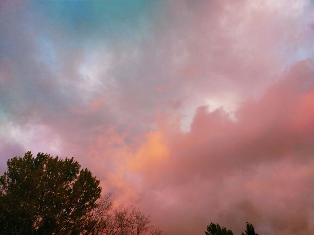 Photograph by Инна Голубева