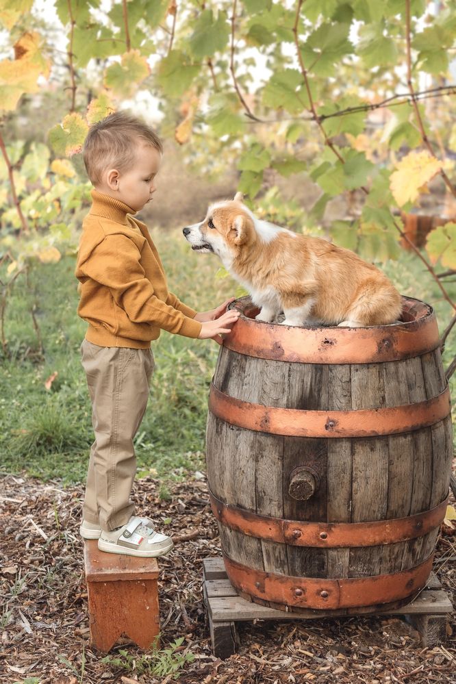 Малыши и осень.