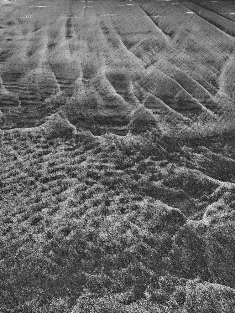 Photograph by Lauro Machado