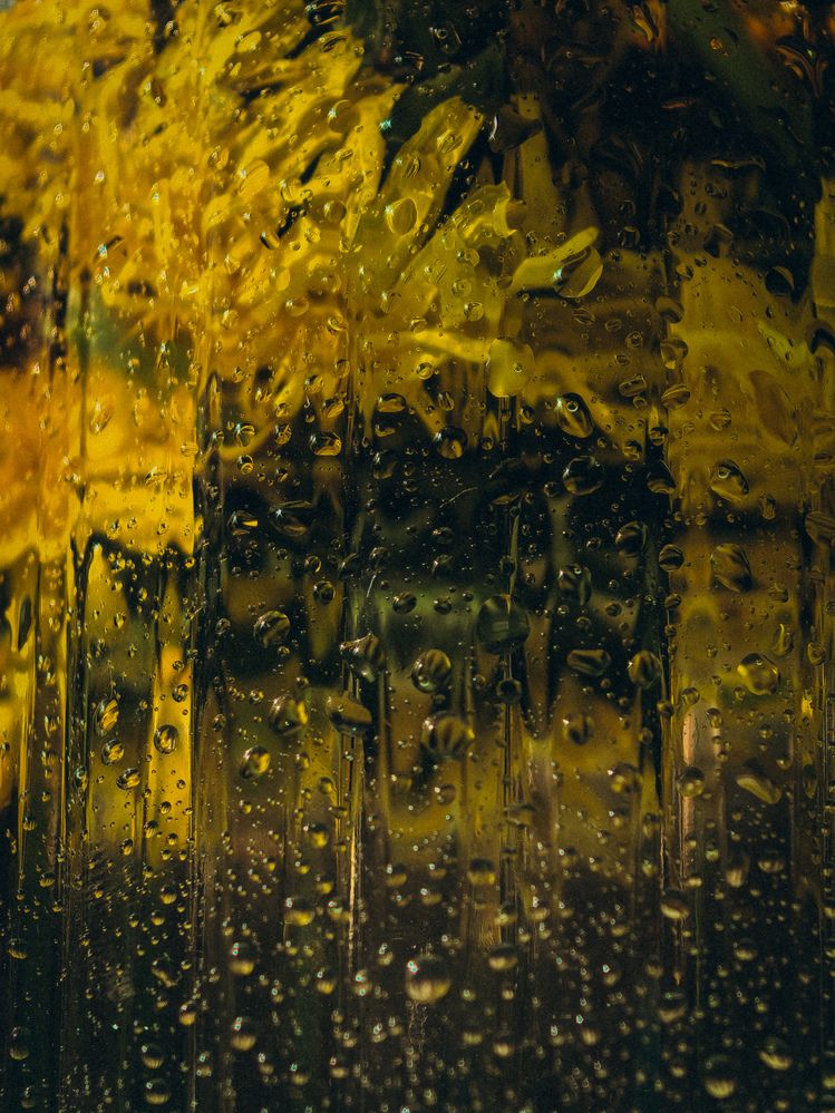 Фотография автора Анна Ворончихина