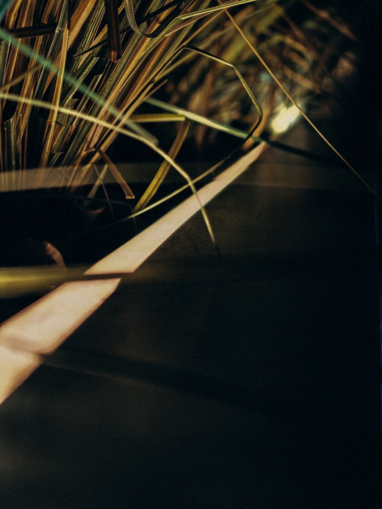 Фотография автора Анна Ворончихина