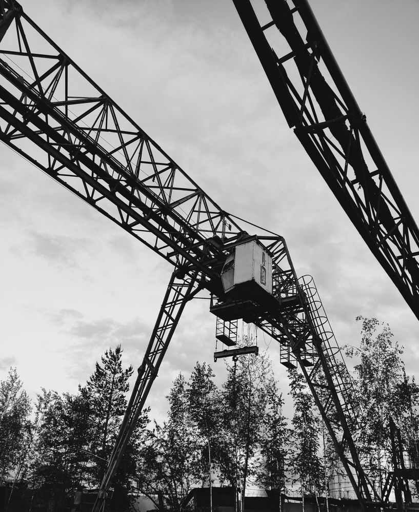 Фотография автора Catherine Shashkova