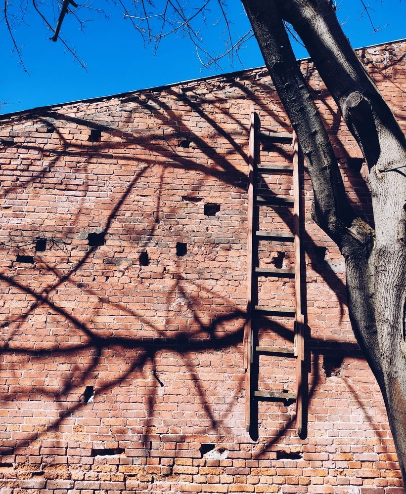 Фотография автора Catherine Shashkova