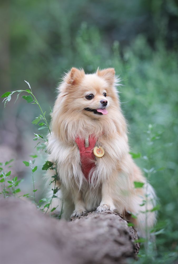 Photograph by Ирина