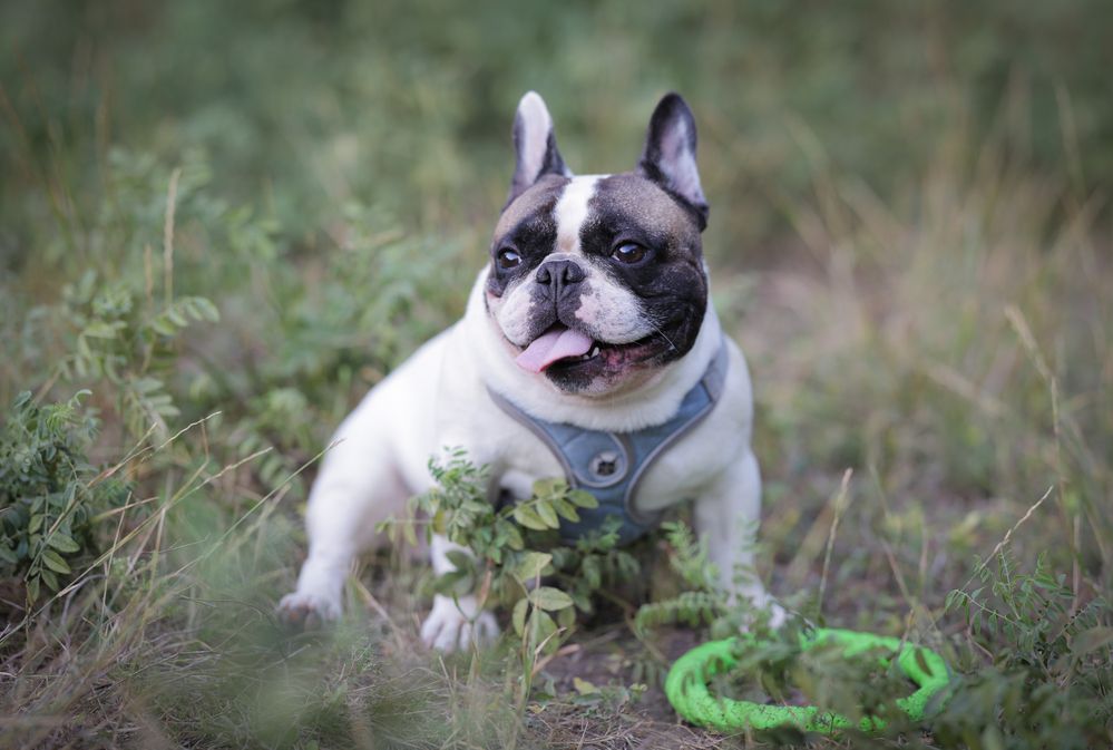 Photograph by Ирина