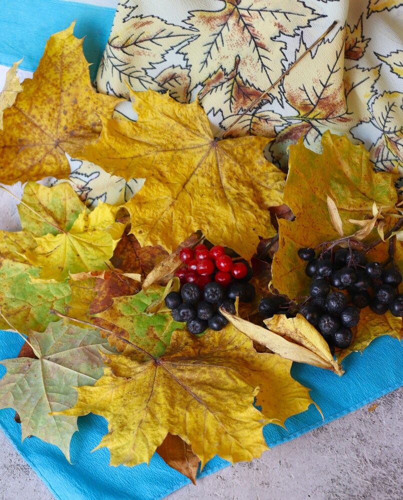 Photograph by Ирина Садовникова
