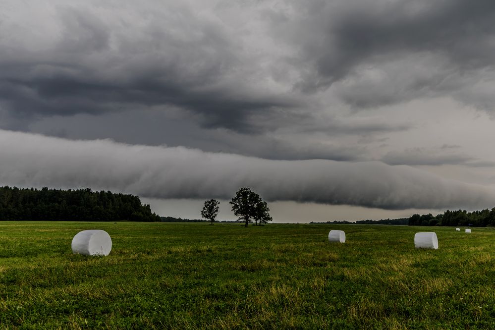 Photograph by Сергей Курятенко