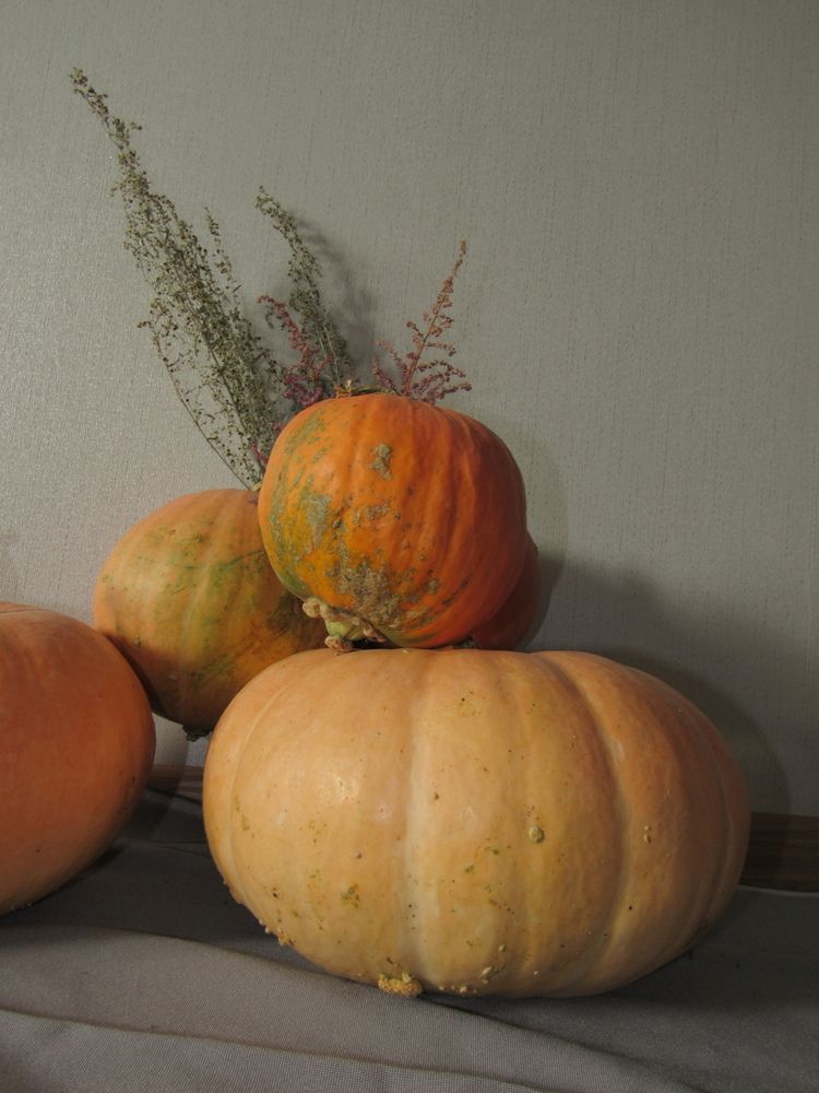 Photograph by Евгений Щипин