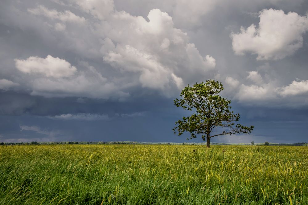 Photograph by Сергей Курятенко