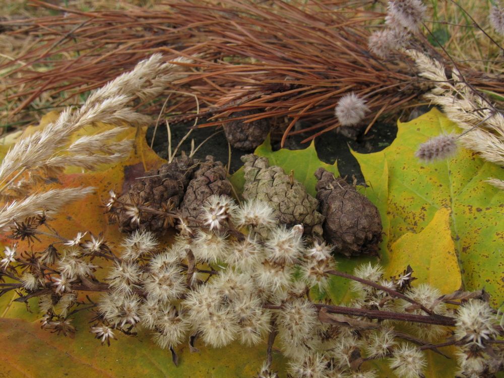 Photograph by Евгений Щипин