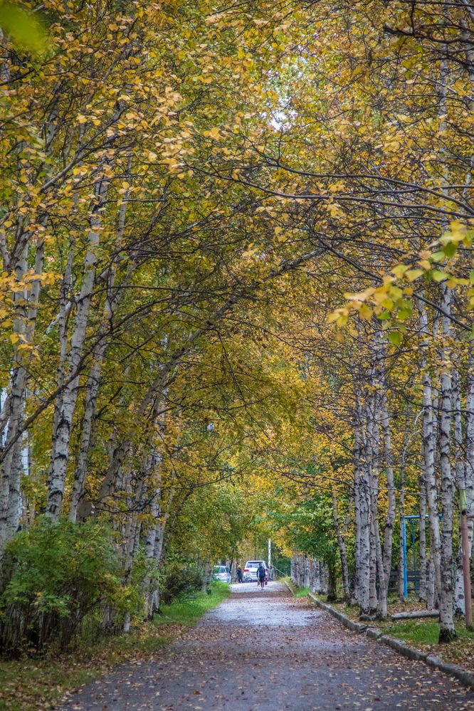 Photograph by Михаил Мархинин