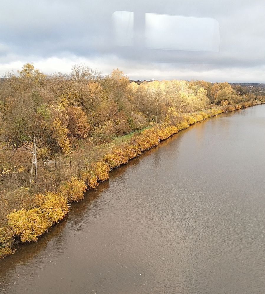 Photo #12710779