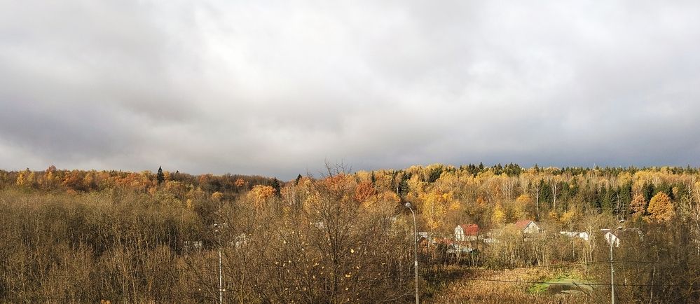 Photo #12710780
