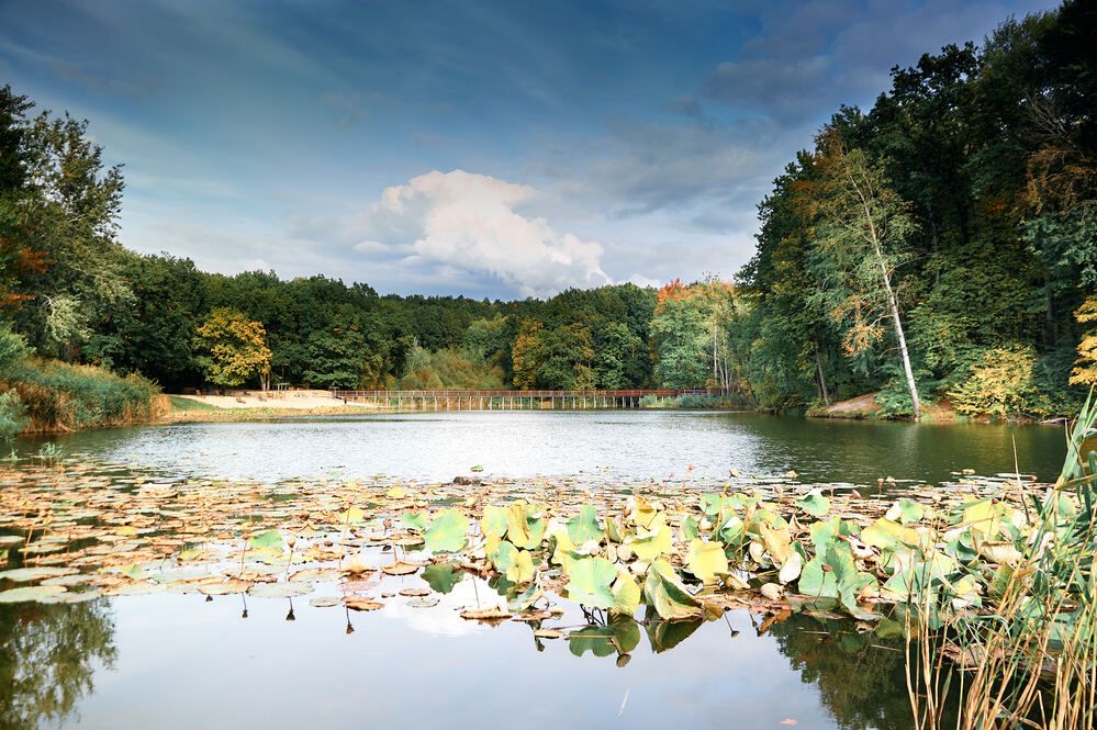 Photograph by Константин Громов