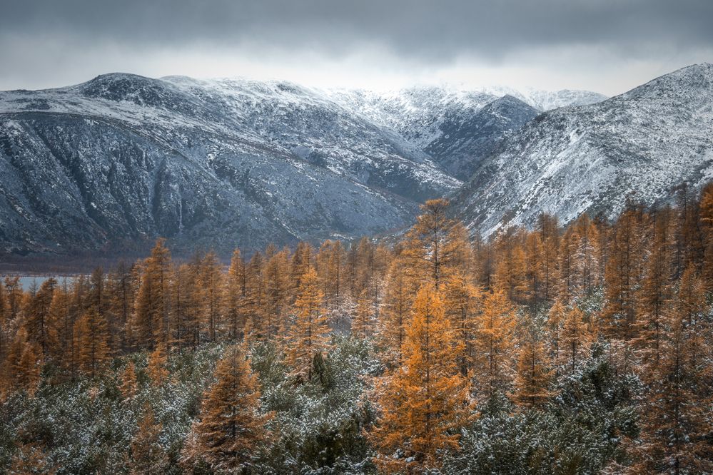 Photograph by Вячеслав Косенков