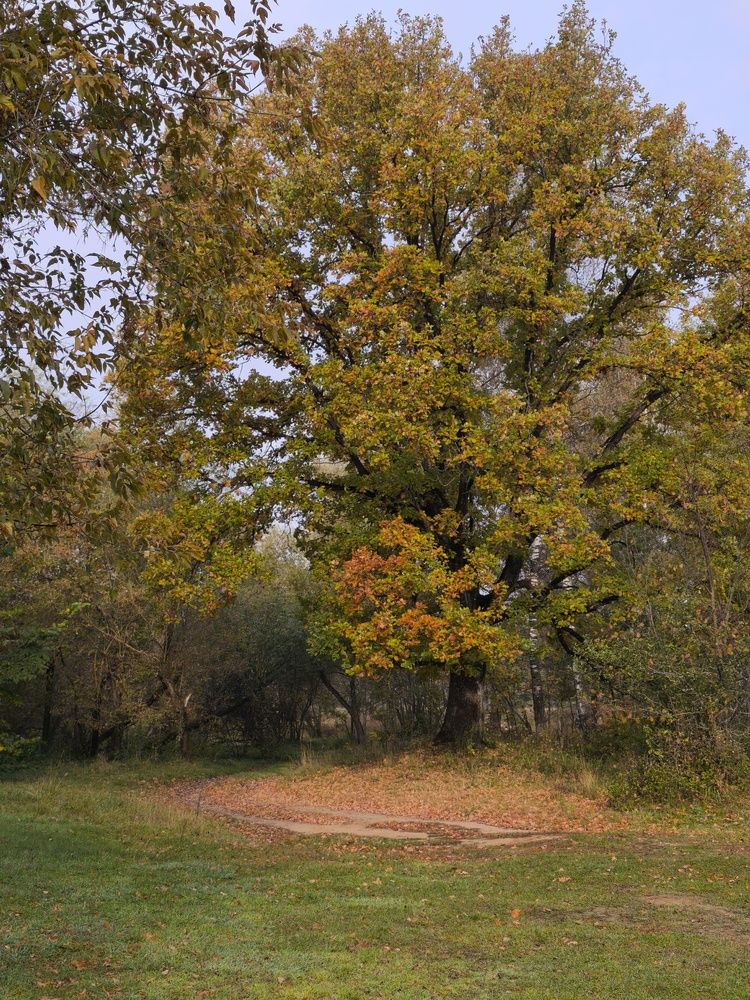 Photograph by Зимфира Хазиева