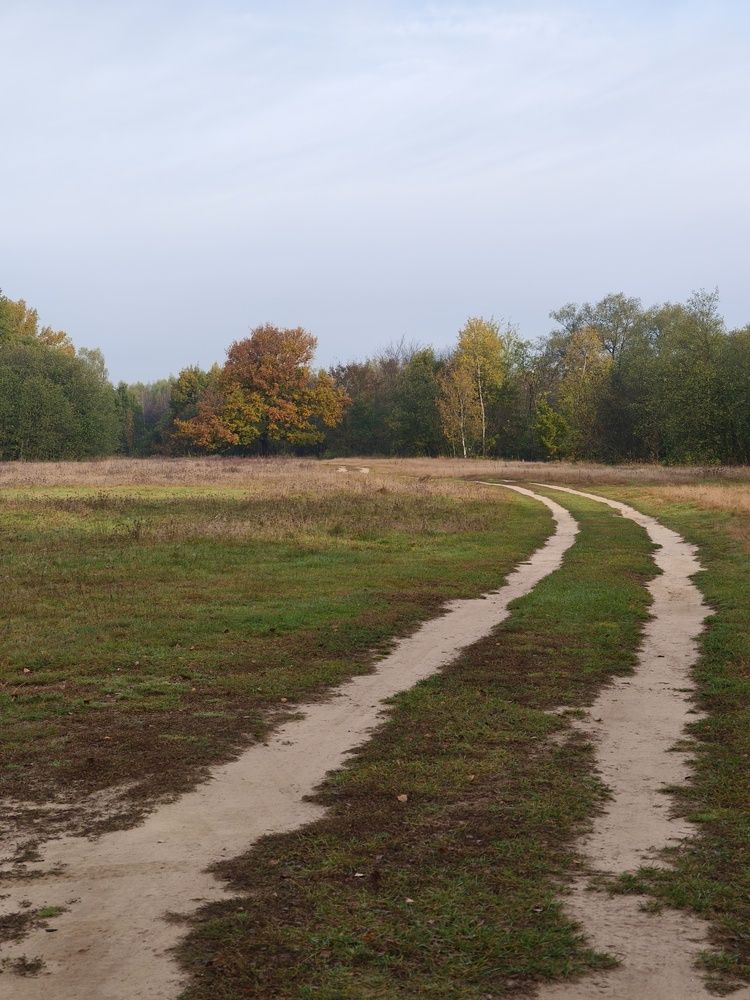 Photograph by Зимфира Хазиева