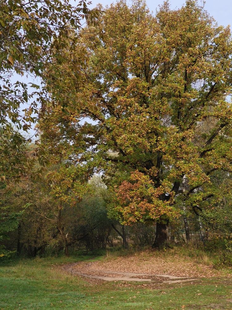 Photograph by Зимфира Хазиева