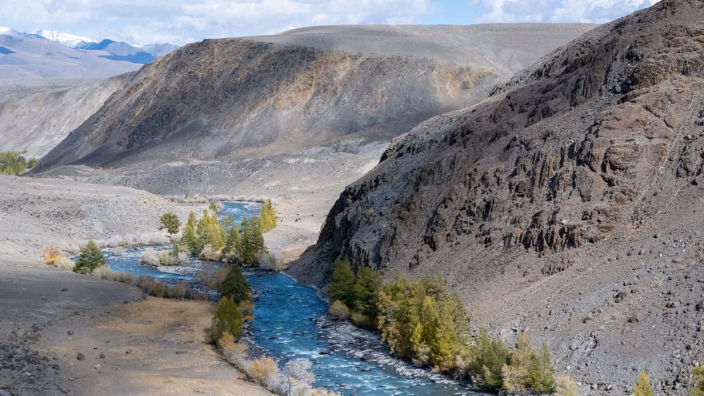 Photograph by Владимир Коровин