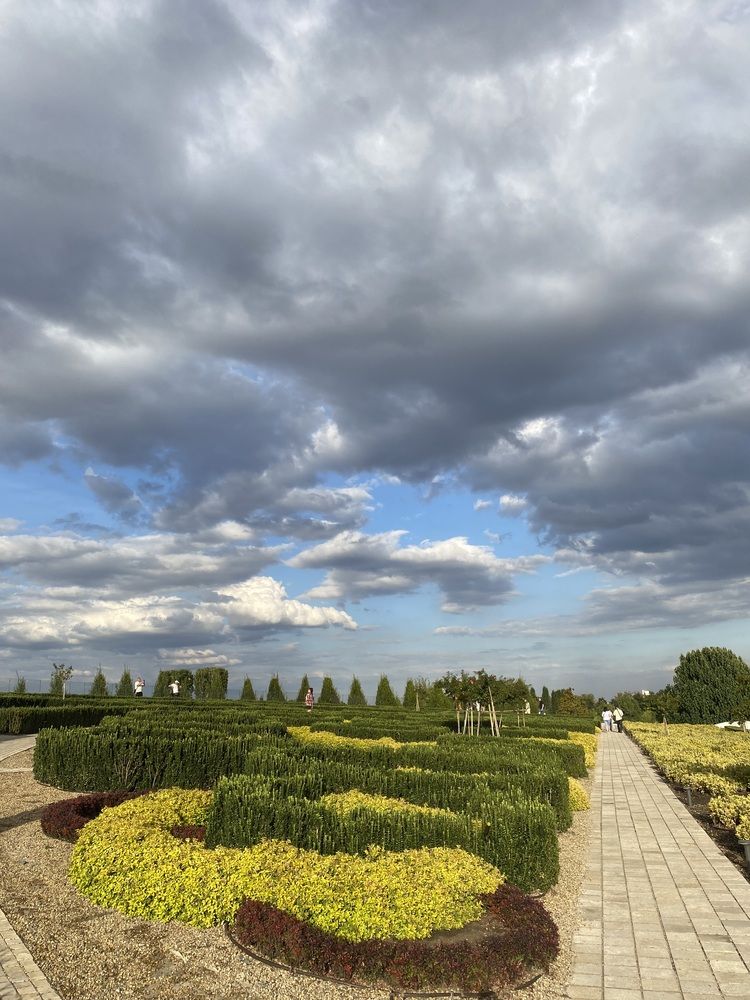 Photograph by Олеся Чистова