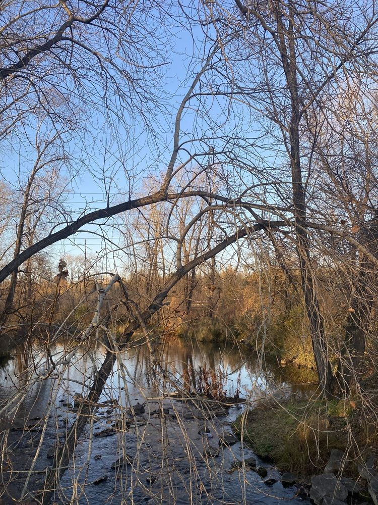 Photograph by Олеся Чистова