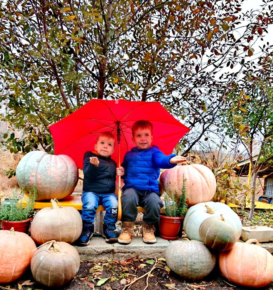 Photograph by Андрей Пучков