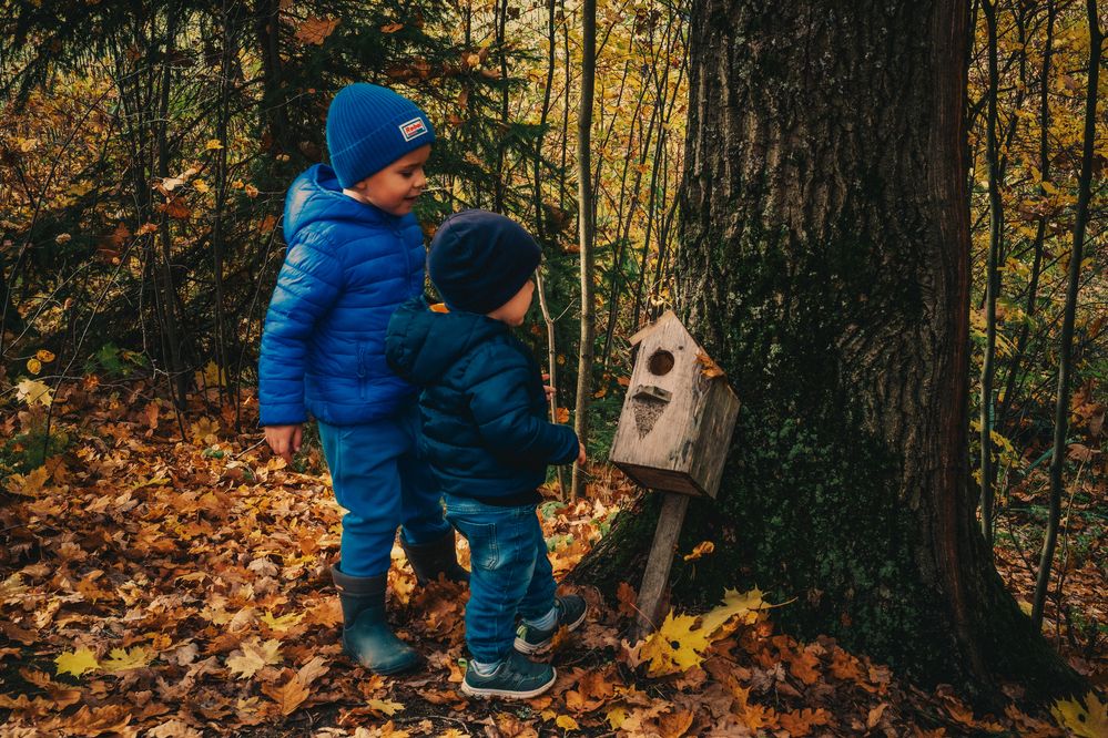 Photograph by Андрей Пучков