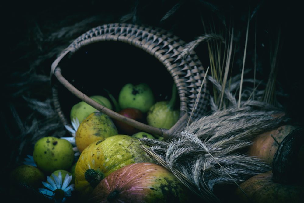 Photograph by Студия НЭКСТ
