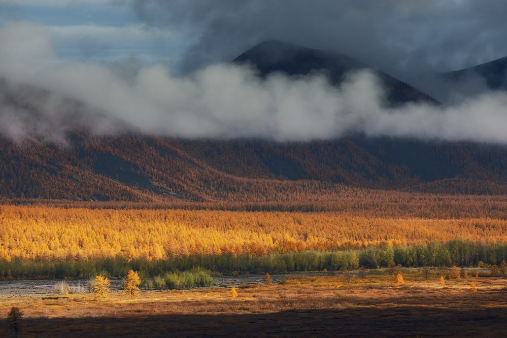 Photograph by Дмитрий Шишкин