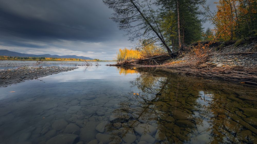 Photograph by Дмитрий Шишкин