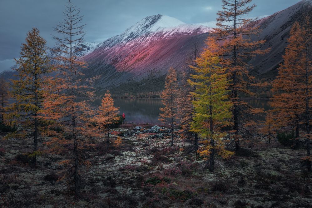 Photograph by Дмитрий Шишкин