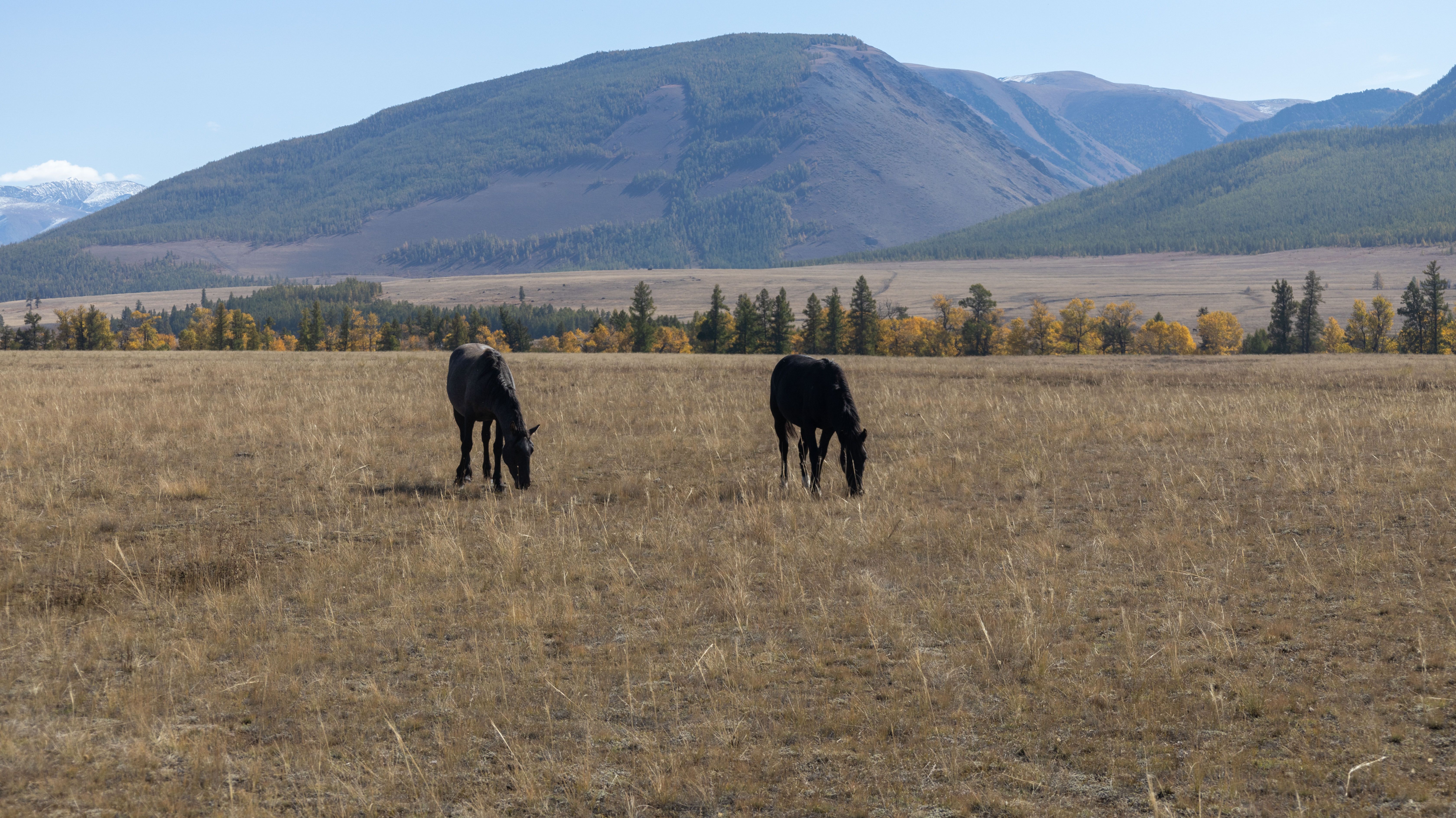 Photograph by Владимир Коровин