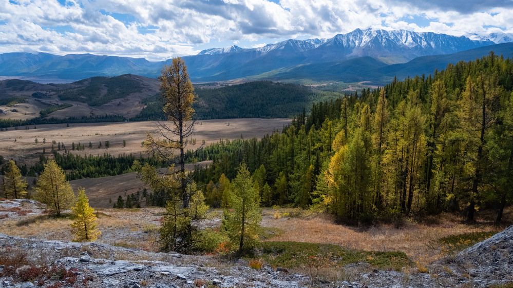 Photograph by Владимир Коровин