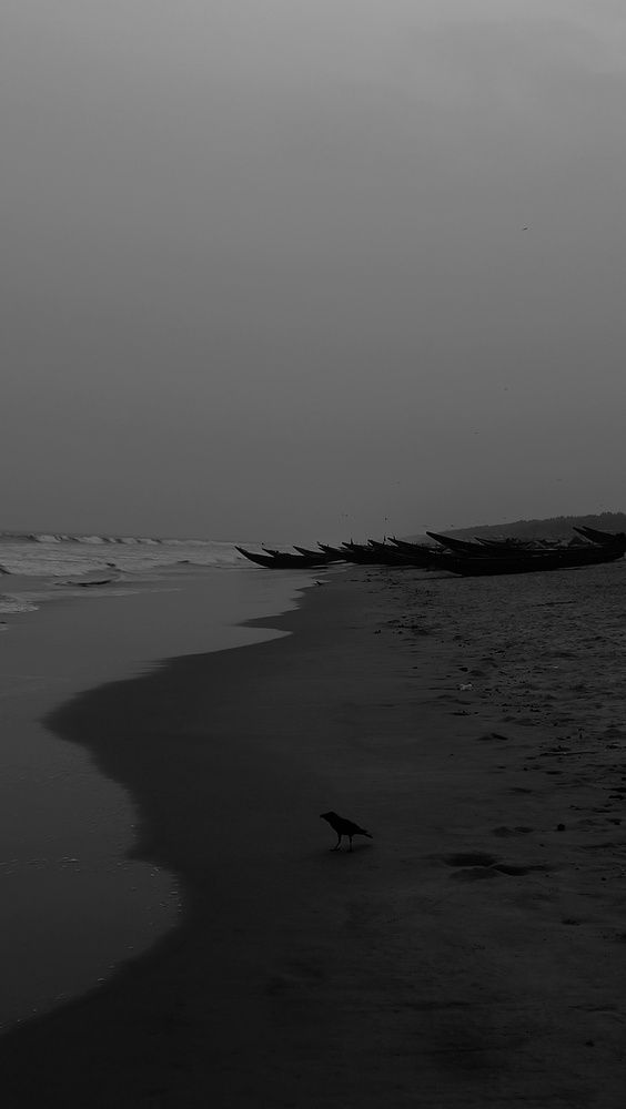 Crow and the sea