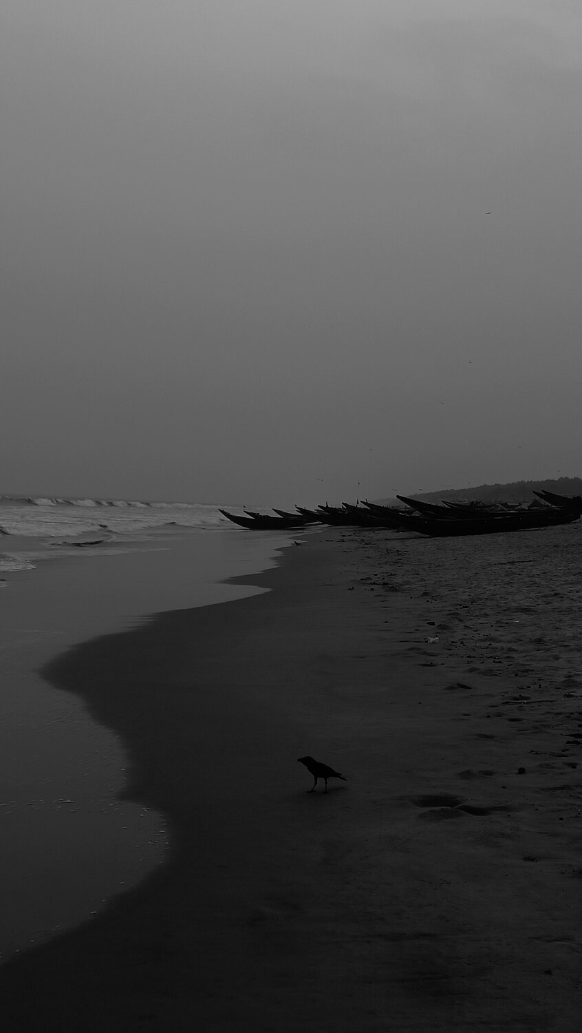Crow and the sea
