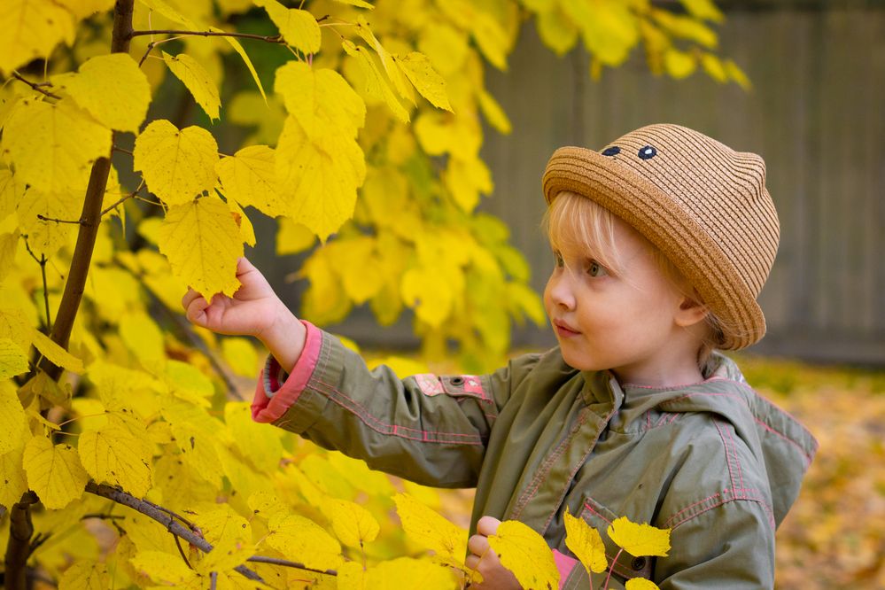 Photograph by Лина Матвеева