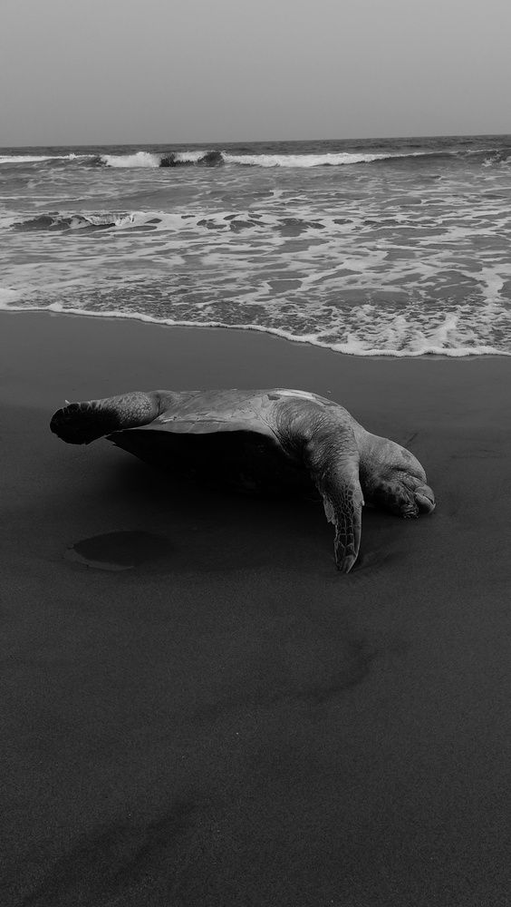 The Death