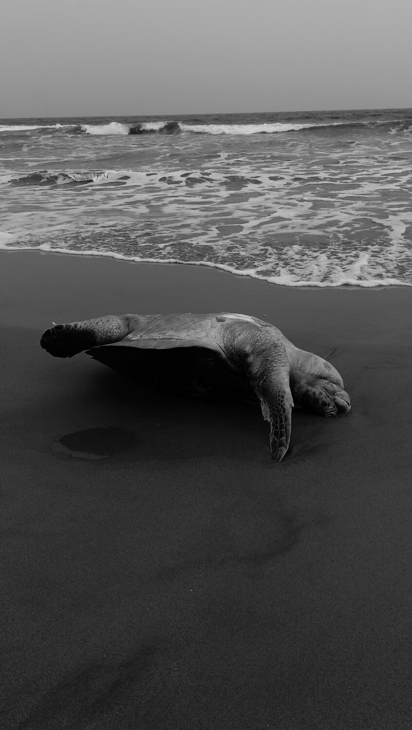 The Death