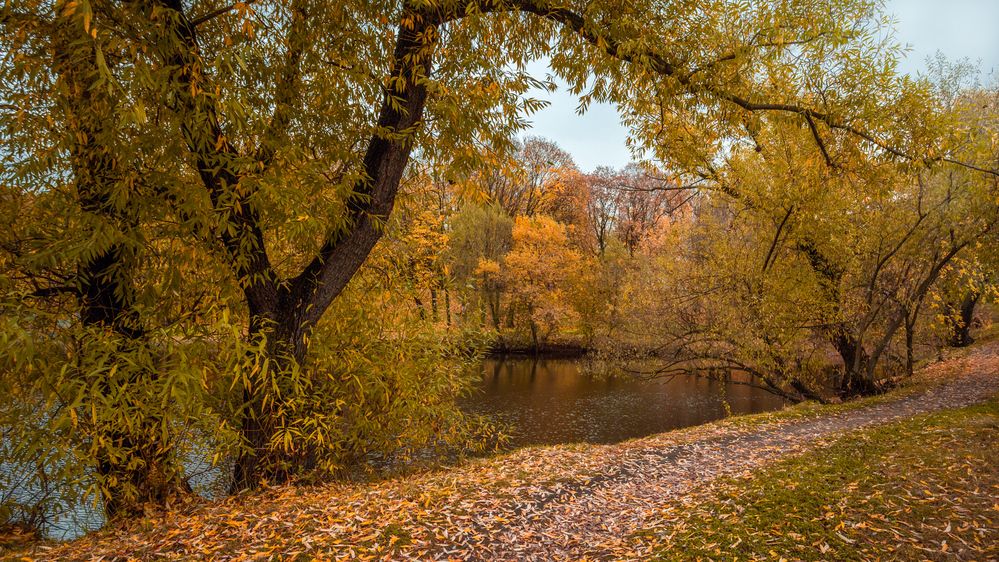 Photograph by Алексеев Сергей