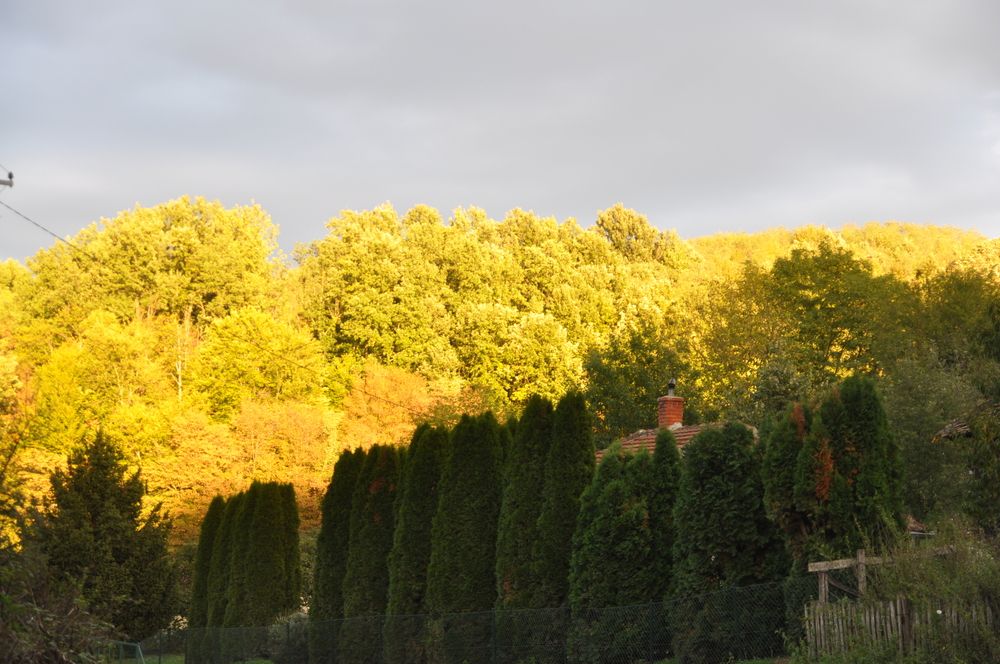 Photograph by RADOVAN TEODOROVIĆ