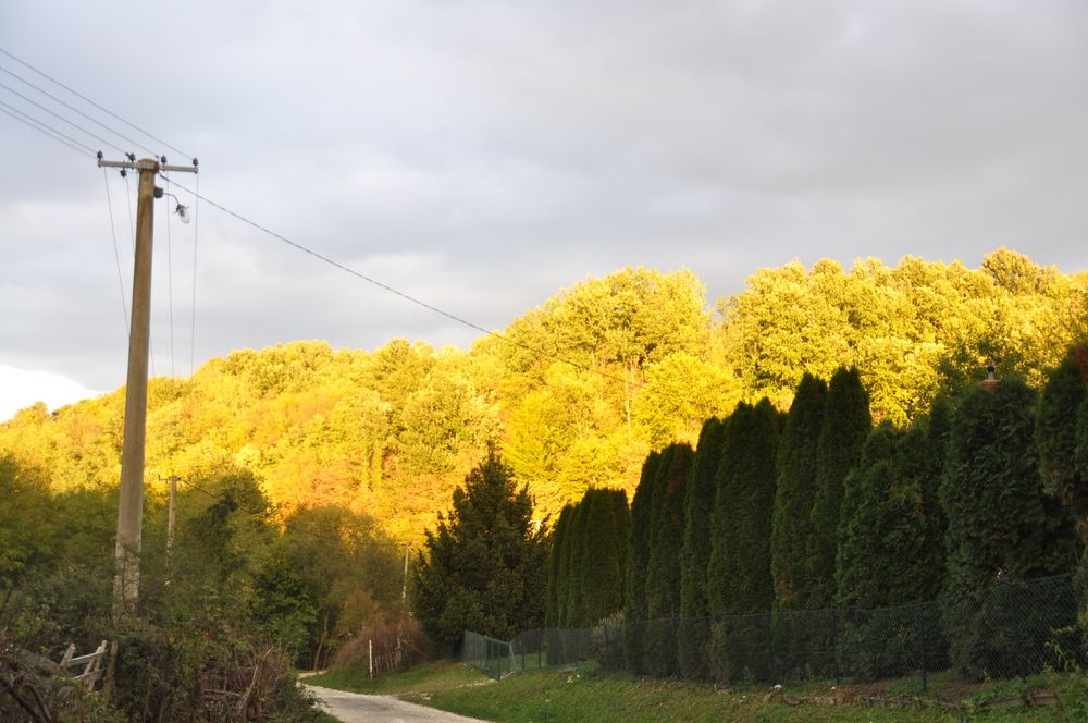 Photograph by RADOVAN TEODOROVIĆ