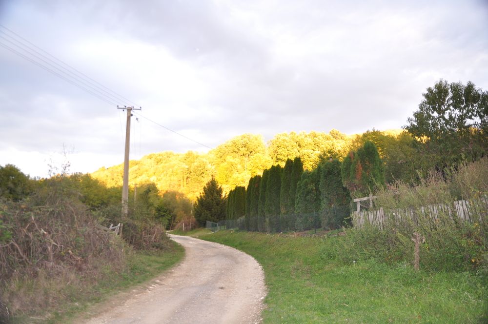 Photograph by RADOVAN TEODOROVIĆ