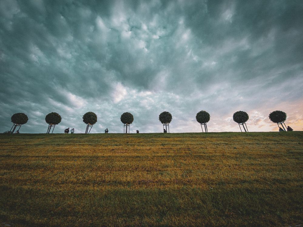 Photograph by Konstantin Martynov