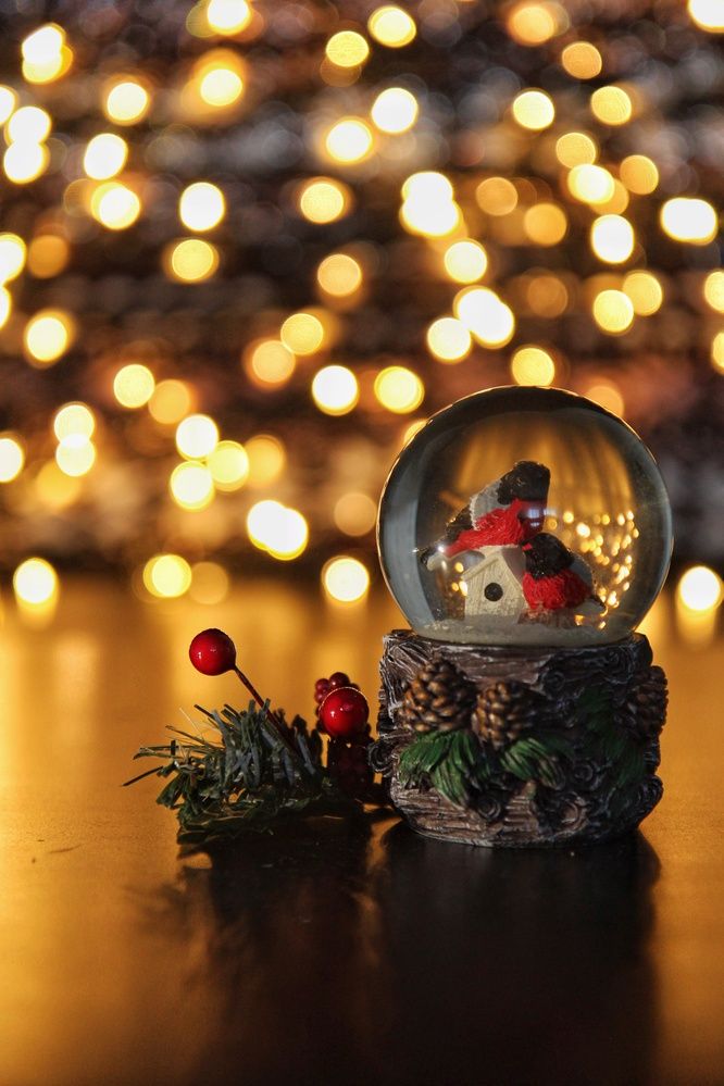 Photograph by Диана Николаева